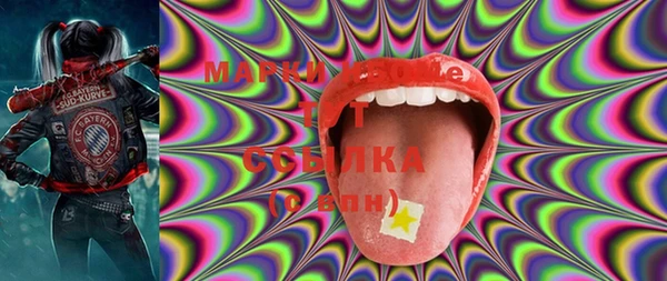 PSILOCYBIN Алзамай
