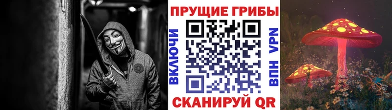 Галлюциногенные грибы мицелий  продажа наркотиков  Шацк 